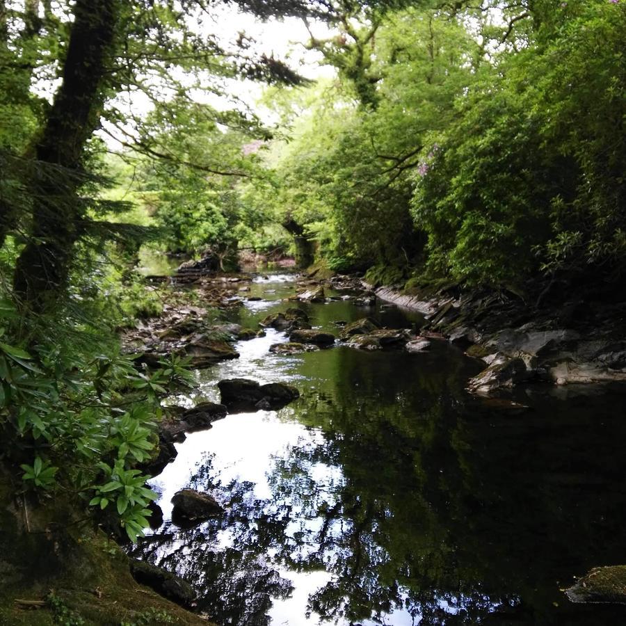 An Sibin B&B Kenmare Exterior foto